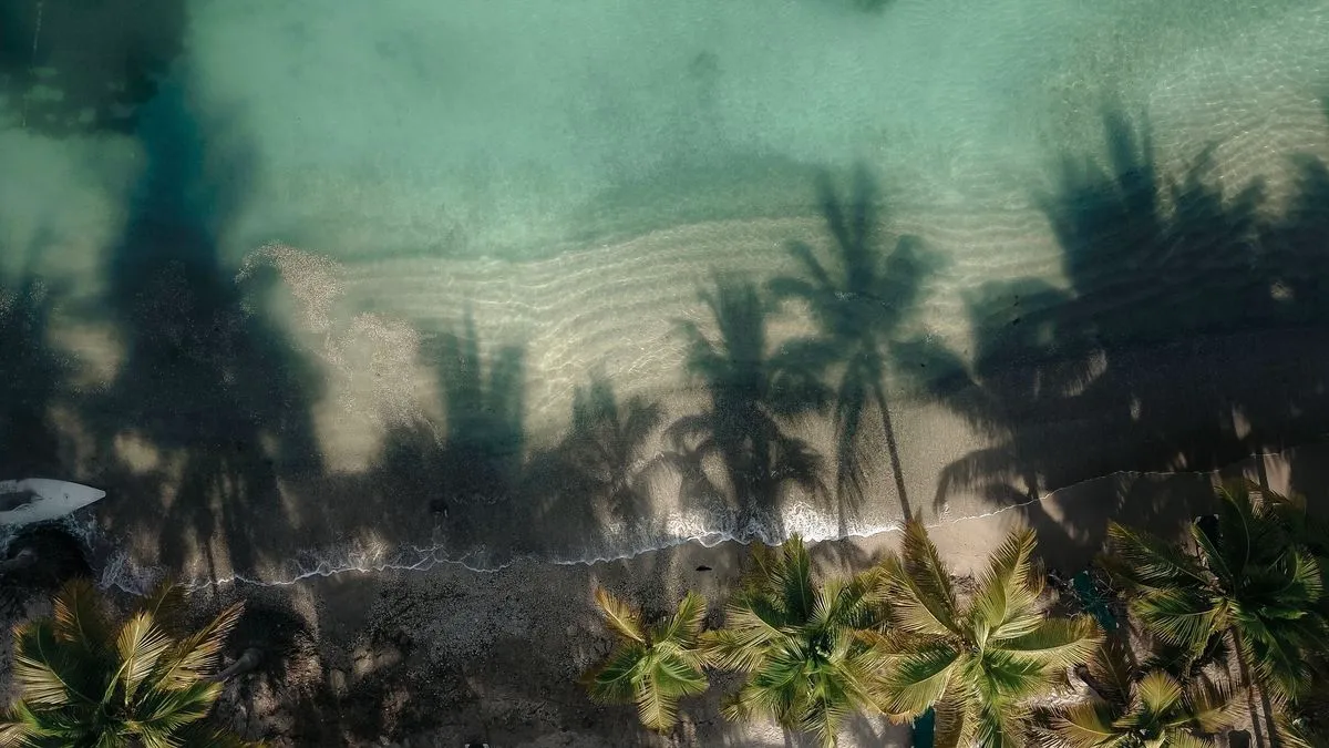 Aerial view of a palm-lined Caribbean beach meeting turquoise water